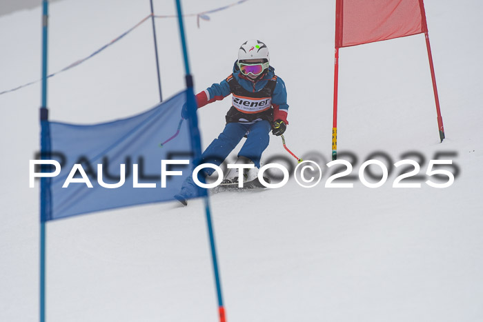 Ziener Cup Werdenfels U8,U10,U12,  01.02.2025