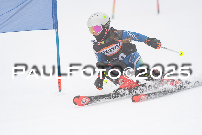Ziener Cup Werdenfels U8,U10,U12,  01.02.2025