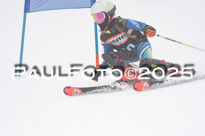 Ziener Cup Werdenfels U8,U10,U12,  01.02.2025