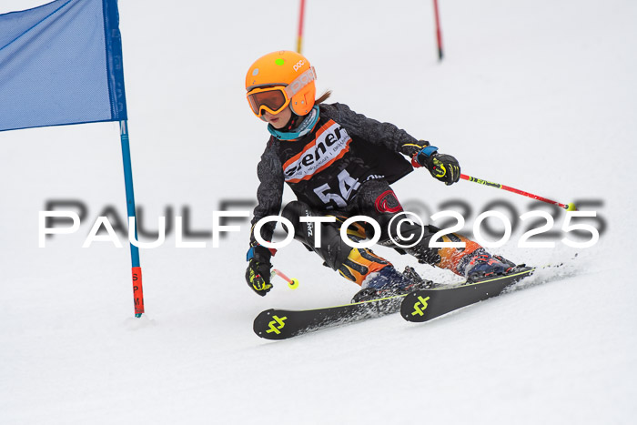 Ziener Cup Werdenfels U8,U10,U12,  01.02.2025