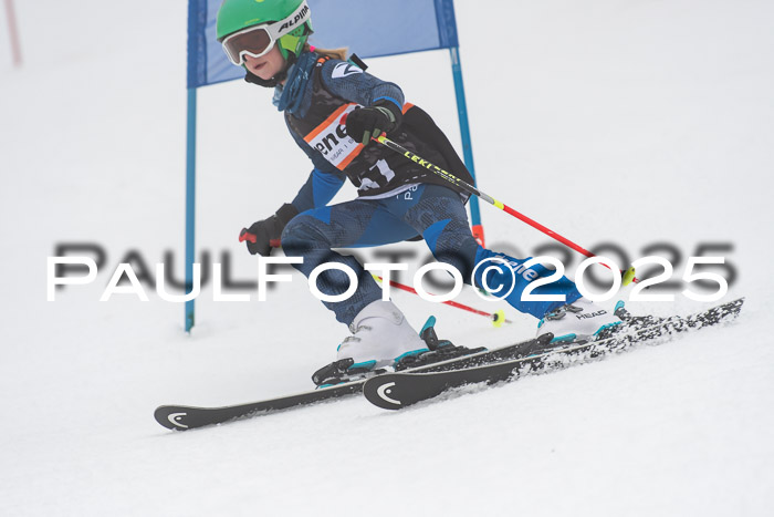 Ziener Cup Werdenfels U8,U10,U12,  01.02.2025