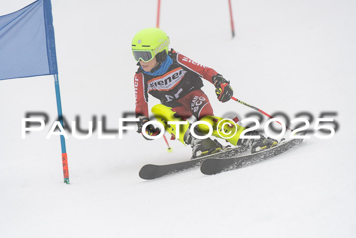 Ziener Cup Werdenfels U8,U10,U12,  01.02.2025