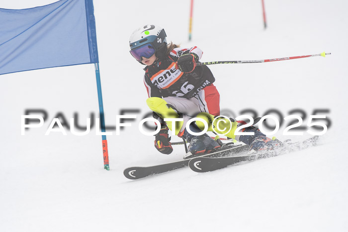 Ziener Cup Werdenfels U8,U10,U12,  01.02.2025