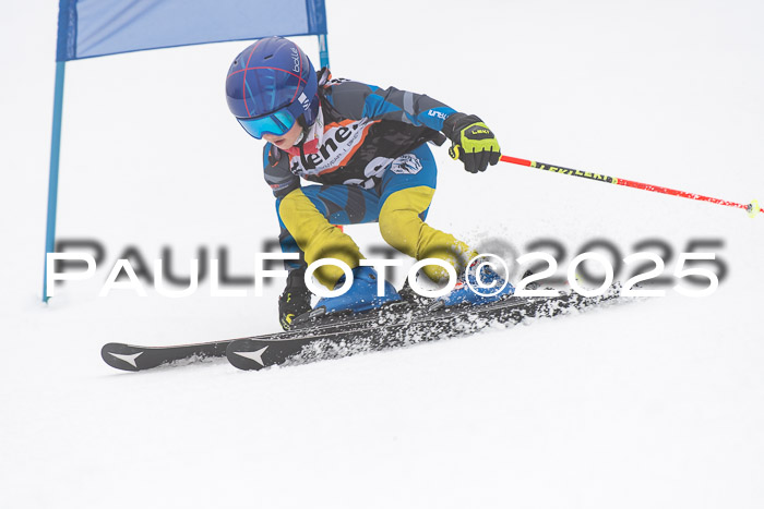 Ziener Cup Werdenfels U8,U10,U12,  01.02.2025