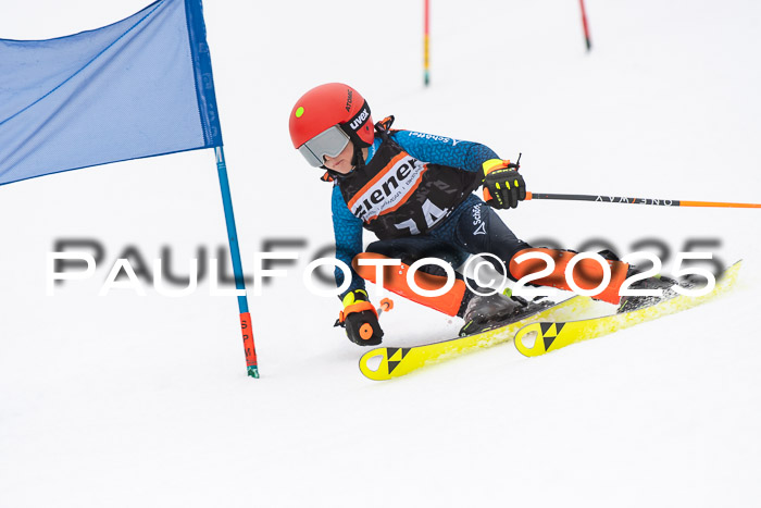 Ziener Cup Werdenfels U8,U10,U12,  01.02.2025