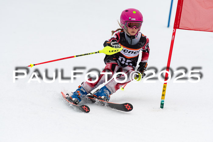 Ziener Cup Werdenfels U8,U10,U12,  01.02.2025