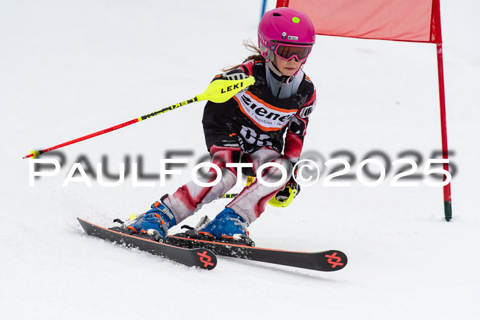 Ziener Cup Werdenfels U8,U10,U12,  01.02.2025