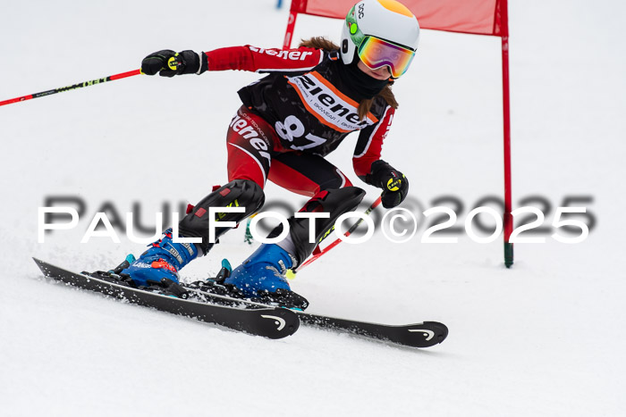 Ziener Cup Werdenfels U8,U10,U12,  01.02.2025
