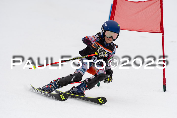 Ziener Cup Werdenfels U8,U10,U12,  01.02.2025