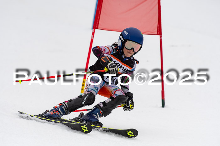 Ziener Cup Werdenfels U8,U10,U12,  01.02.2025