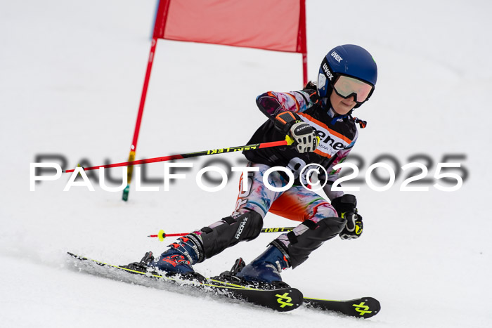 Ziener Cup Werdenfels U8,U10,U12,  01.02.2025
