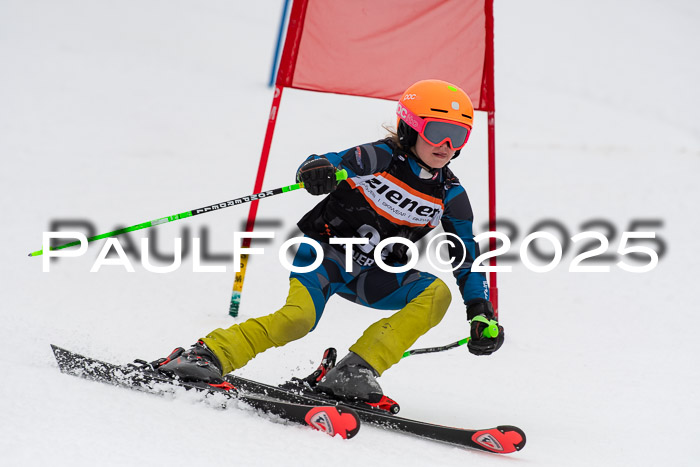 Ziener Cup Werdenfels U8,U10,U12,  01.02.2025