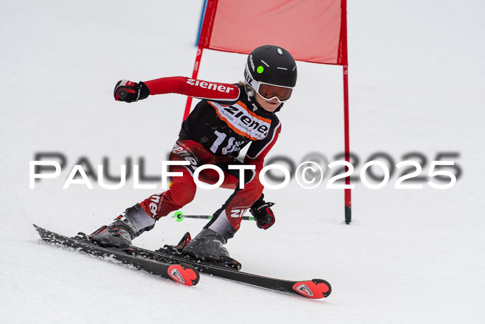 Ziener Cup Werdenfels U8,U10,U12,  01.02.2025