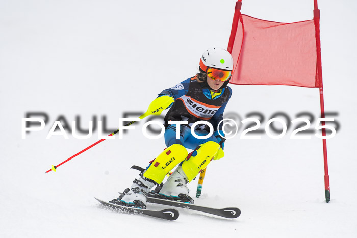 Ziener Cup Werdenfels U8,U10,U12,  01.02.2025