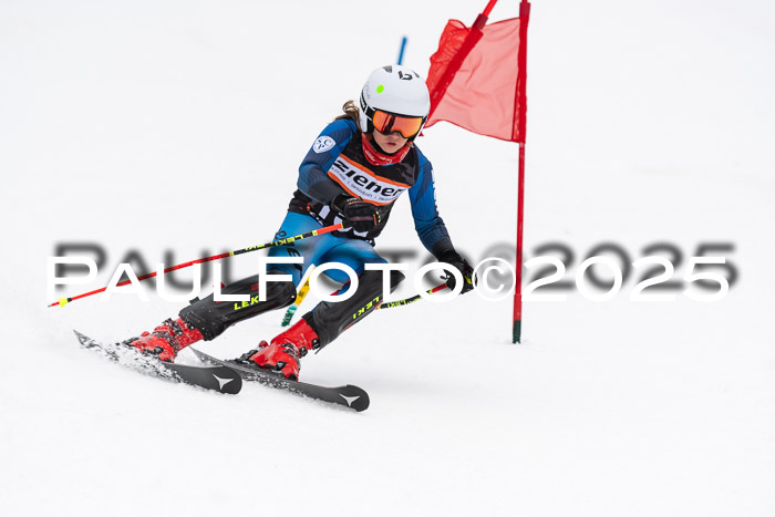 Ziener Cup Werdenfels U8,U10,U12,  01.02.2025
