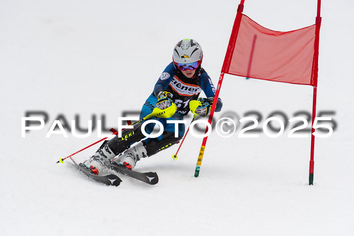 Ziener Cup Werdenfels U8,U10,U12,  01.02.2025