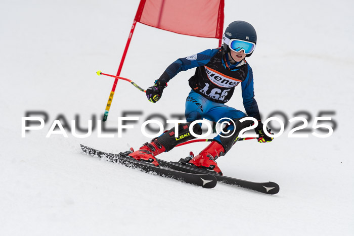 Ziener Cup Werdenfels U8,U10,U12,  01.02.2025