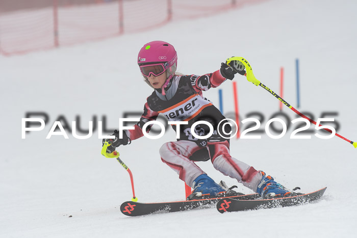 Ziener Cup Werdenfels U8,U10,U12,  01.02.2025