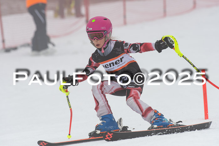 Ziener Cup Werdenfels U8,U10,U12,  01.02.2025