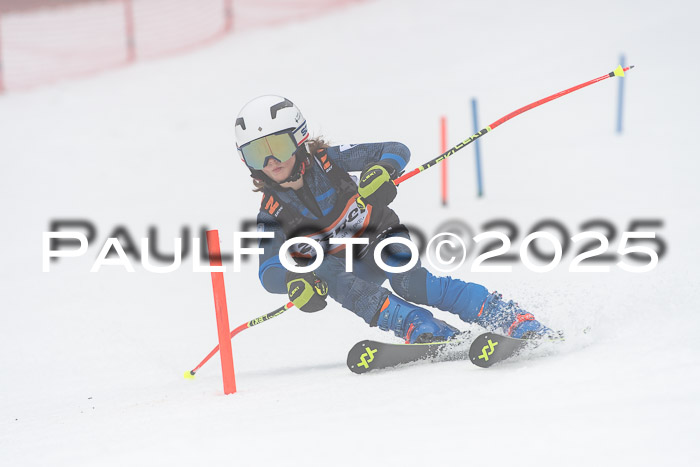 Ziener Cup Werdenfels U8,U10,U12,  01.02.2025