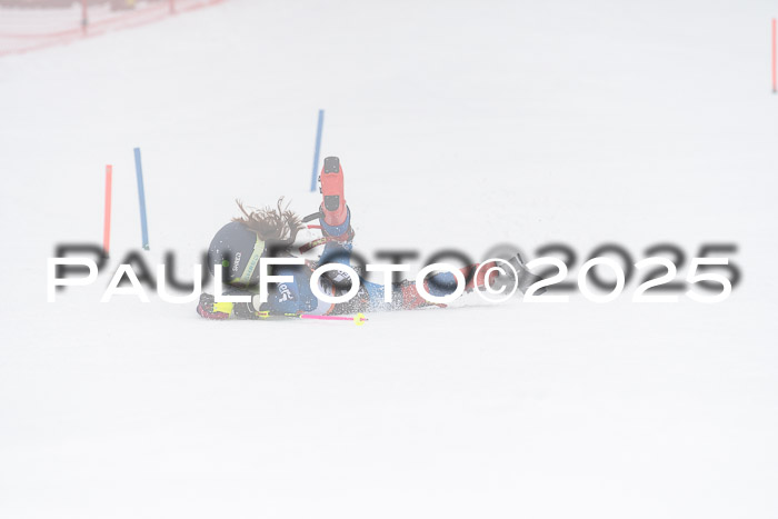 Ziener Cup Werdenfels U8,U10,U12,  01.02.2025