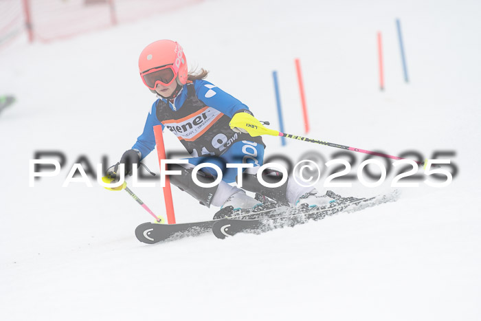 Ziener Cup Werdenfels U8,U10,U12,  01.02.2025
