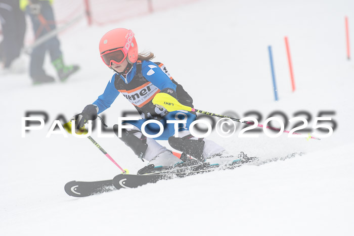 Ziener Cup Werdenfels U8,U10,U12,  01.02.2025