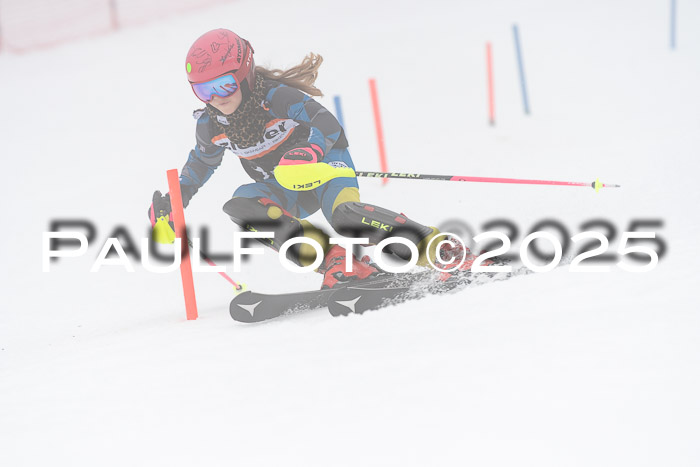 Ziener Cup Werdenfels U8,U10,U12,  01.02.2025