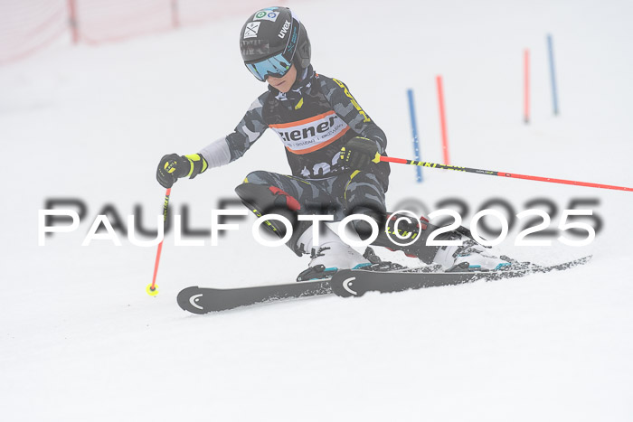 Ziener Cup Werdenfels U8,U10,U12,  01.02.2025