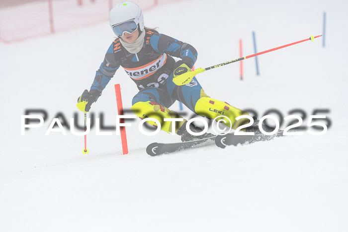 Ziener Cup Werdenfels U8,U10,U12,  01.02.2025