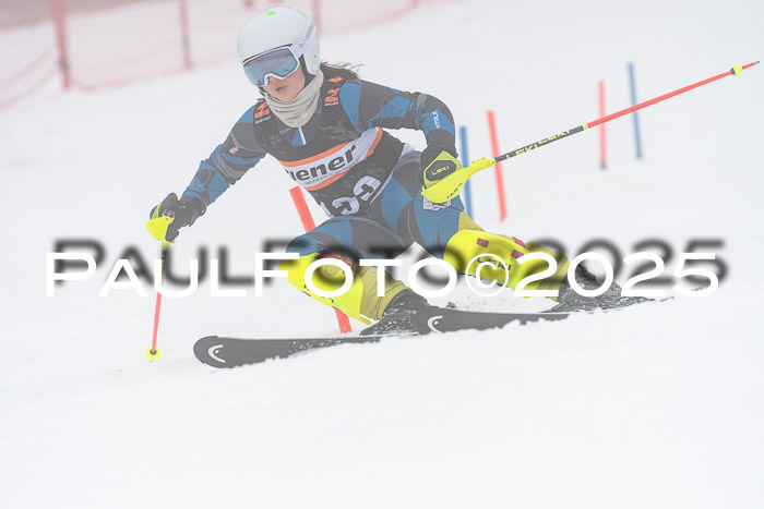 Ziener Cup Werdenfels U8,U10,U12,  01.02.2025