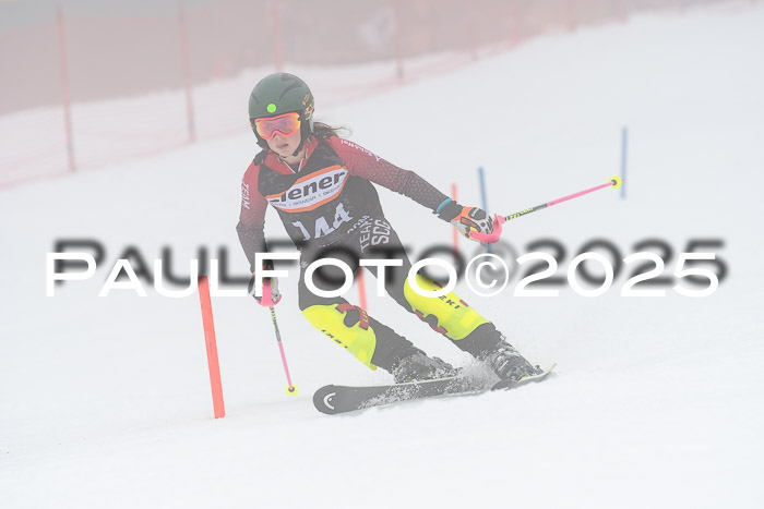 Ziener Cup Werdenfels U8,U10,U12,  01.02.2025