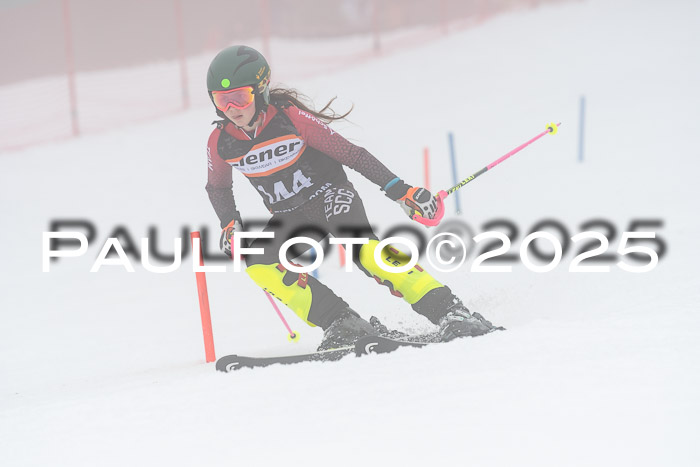 Ziener Cup Werdenfels U8,U10,U12,  01.02.2025