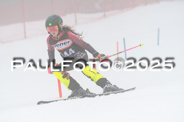 Ziener Cup Werdenfels U8,U10,U12,  01.02.2025