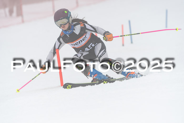 Ziener Cup Werdenfels U8,U10,U12,  01.02.2025