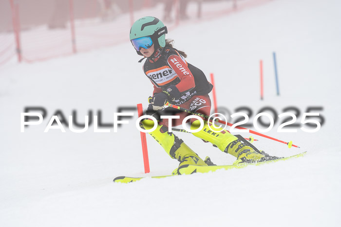 Ziener Cup Werdenfels U8,U10,U12,  01.02.2025