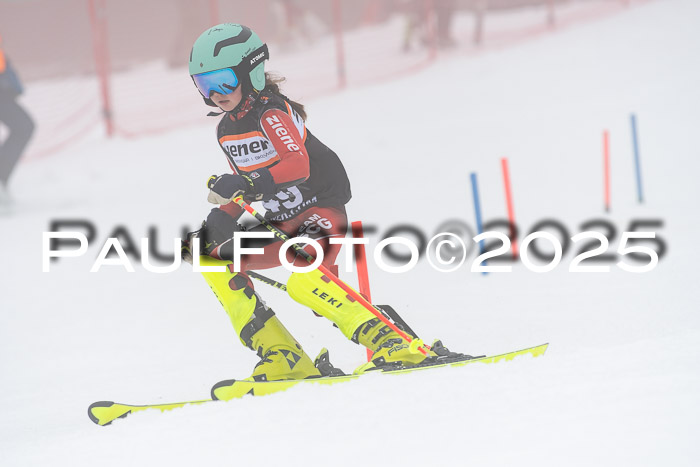 Ziener Cup Werdenfels U8,U10,U12,  01.02.2025