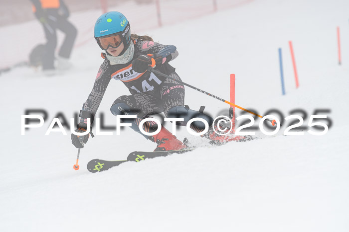 Ziener Cup Werdenfels U8,U10,U12,  01.02.2025