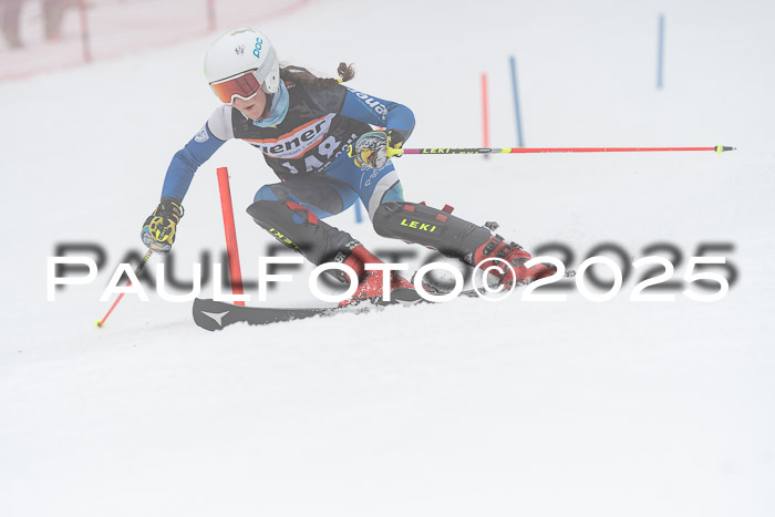 Ziener Cup Werdenfels U8,U10,U12,  01.02.2025