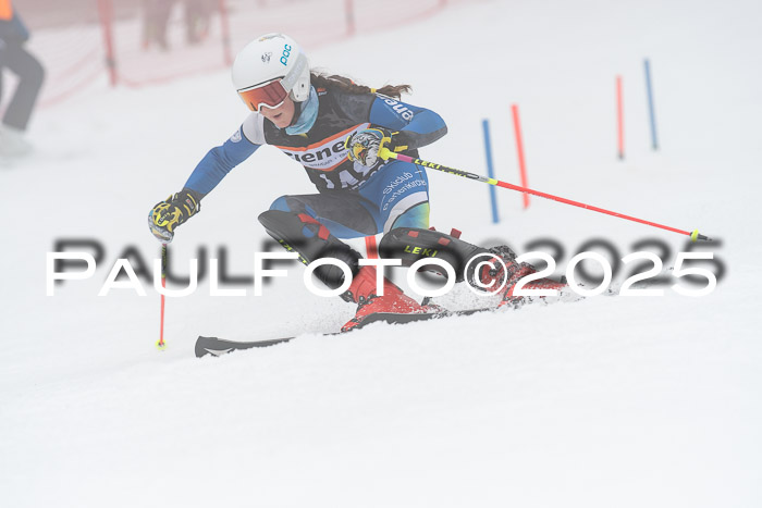 Ziener Cup Werdenfels U8,U10,U12,  01.02.2025