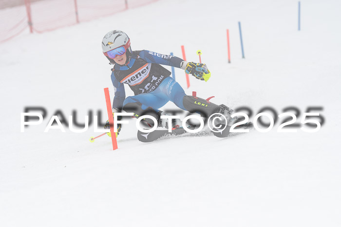 Ziener Cup Werdenfels U8,U10,U12,  01.02.2025