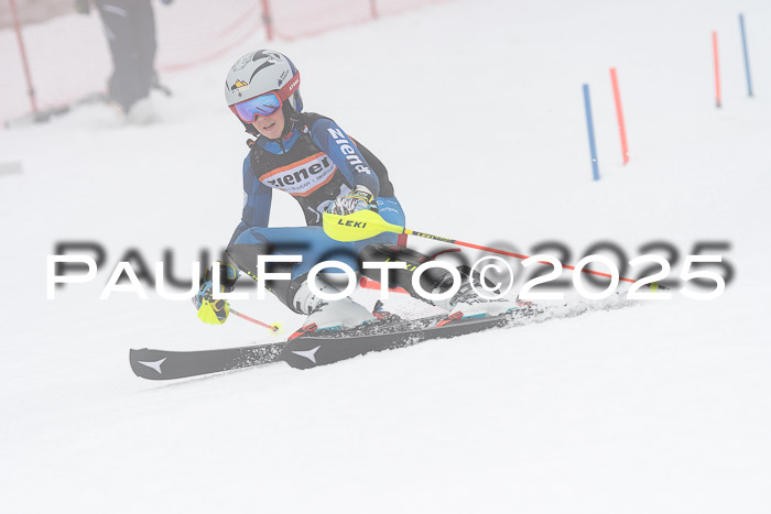 Ziener Cup Werdenfels U8,U10,U12,  01.02.2025