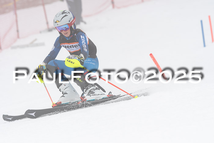 Ziener Cup Werdenfels U8,U10,U12,  01.02.2025