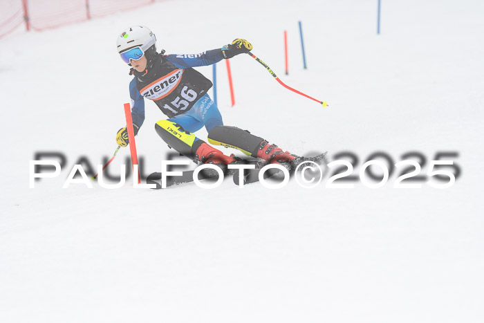 Ziener Cup Werdenfels U8,U10,U12,  01.02.2025