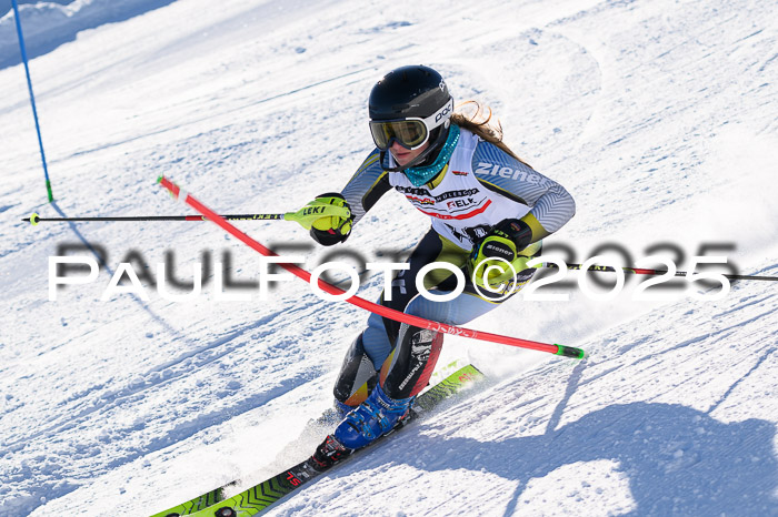 DSV ELK Schülercup Alpin U14 RS+, 01.02.2025