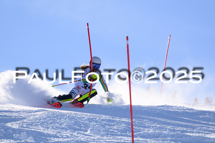 DSV ELK Schülercup Alpin U14 RS+, 01.02.2025