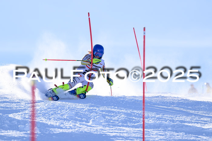 DSV ELK Schülercup Alpin U14 RS+, 01.02.2025