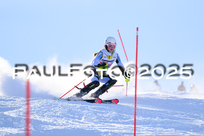 DSV ELK Schülercup Alpin U14 RS+, 01.02.2025
