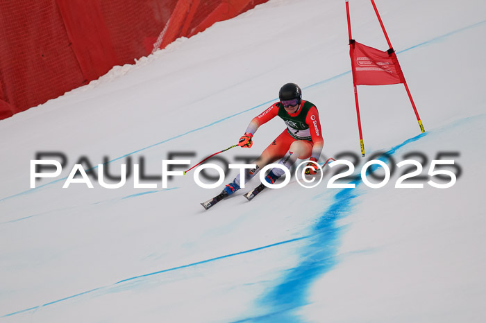 NJC Abfahr Herren, 07.02.2024