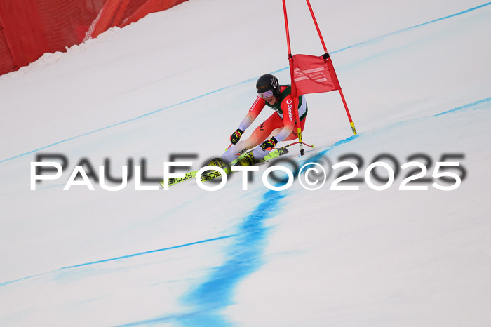 NJC Abfahr Herren, 07.02.2024